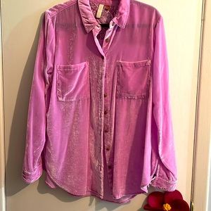 PILCRO Anthropology Velvet Top